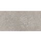 Louisiana Grey Ceramic Wall 300x600mm