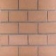 Champagne Brick Tile Wall 1st 222x73mm 1m2